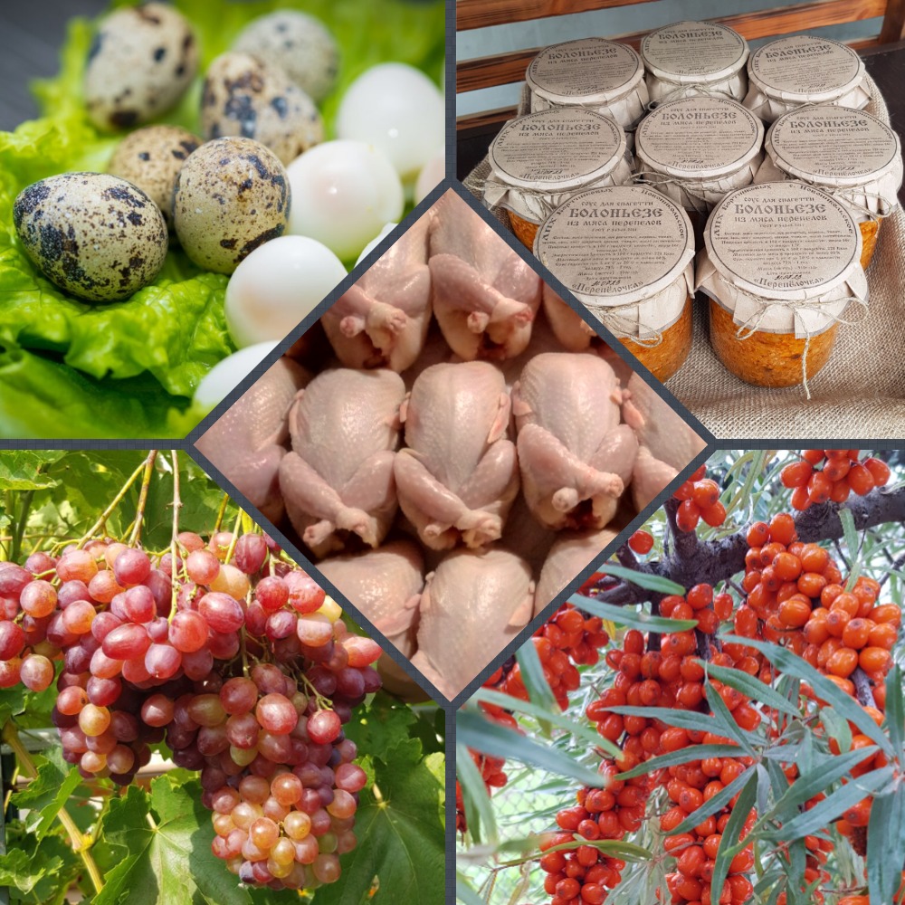 Коллаж из продуктов